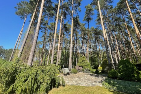 123-6101_TOPAZI - 10