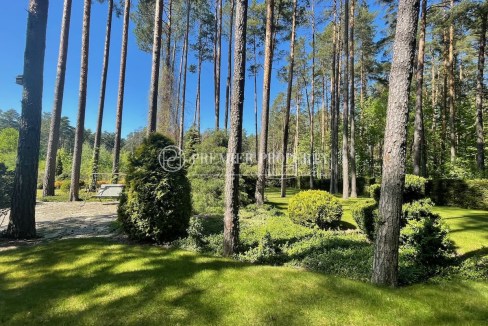 123-6101_TOPAZI - 12