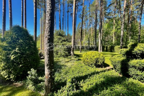 123-6101_TOPAZI - 37